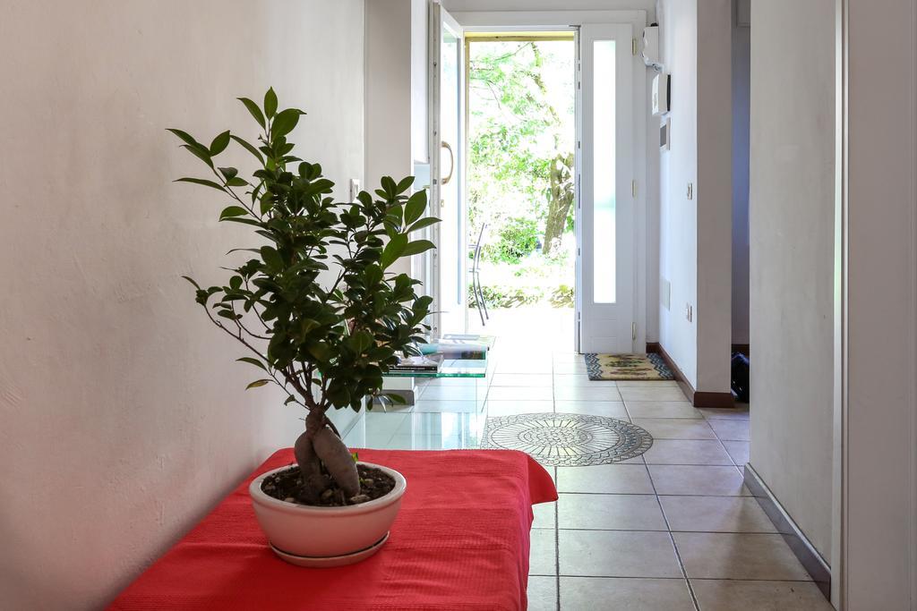 特雷维索La Casa Rossa公寓 外观 照片